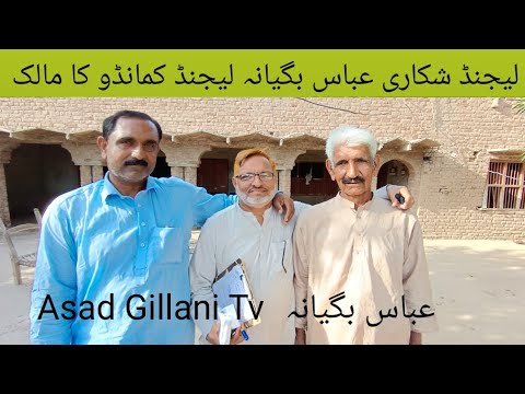 Top Class Bully Breed Dog Name Commando Owner Abass Bageyana off Ravi (Okara) #dogbreeds