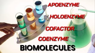 Cofactors: Biomolecules NCERT Enzyme class 11
