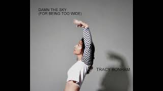 Damn The Sky (For Being Too Wide) by Tracy Bonham