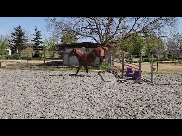2ans avec un mental de guerrier