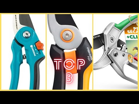 Meilleurs sécateurs 2024 : mon test de 3 modèles