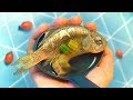 https://www.youtube.com/watch?v=_lfCNT2kIoM