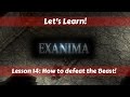 Let S Learn Exanima 0 6 4 6 Lesson 14 How To Defeat The Beast
