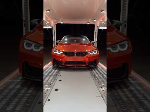 Sport transporter - Image 2