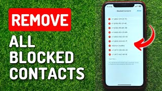How to Remove All Blocked Contacts on iPhone