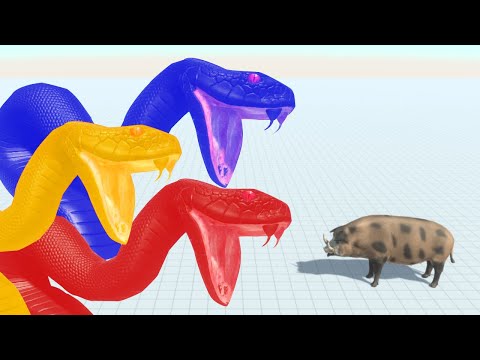 Colored Titanoboa Death Run - Animal Revolt Battle Simulator