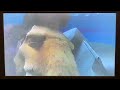 Ice Age 2002 Bedtime