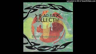 Head Mix Collective - Birthrights CD - 06 - Birthrights
