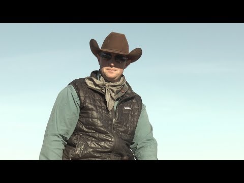 Josh Tishman – Most Influential Horse