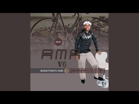 Zihlobo zami