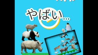 《動物タワーバトル》初見プレーでしたら大変なことが起こった！