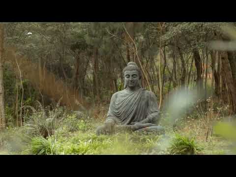 Buddhism - Your Guide to Enlightenment