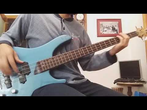 Army Reserve - Pearl Jam (Raw Bass Cover)