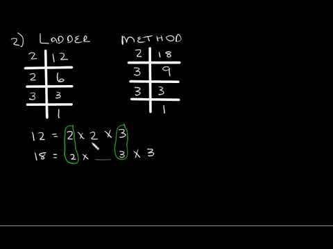 Grade 8 Maths: HCF and LCM