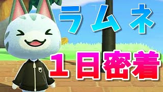 【あつ森】ラムネの１日に密着してみたら可愛すぎてヤバイ！！【あつまれどうぶつの森】【モーニングからグッドナイトまで・・・】