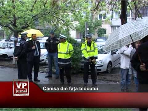 Canisa din fața blocului