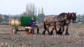 preview picture of video 'Boer paard en kar'