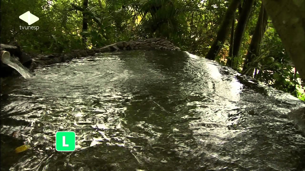 Unesp Ciência | edição 041: A água que ninguém vê