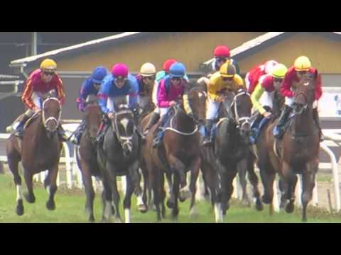 Marc Stott Racing Two winners