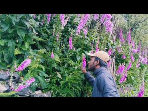 The smell of nature 🏞️🥀