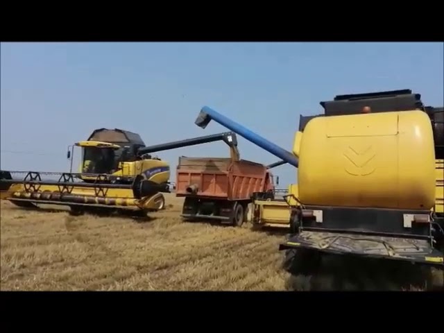Уборочная страда-2019. Идет уборка озимой пшеницы и озимой ржи. Лаишевский район. Монтаж видео Л. Никифоровой