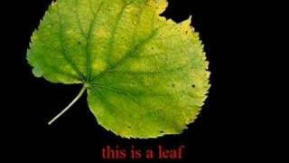 decon ashes you leave interpretation