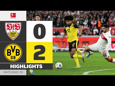 bg-highlight