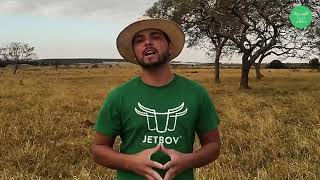 Miniatura do vídeo