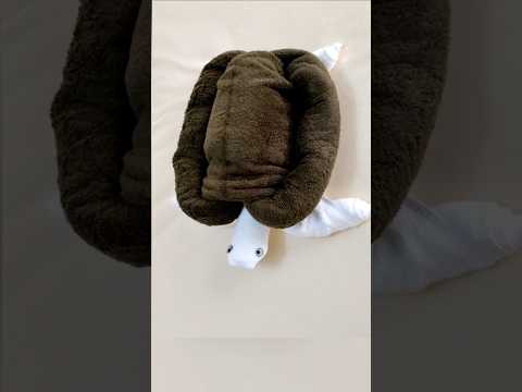 HOW TO MAKE A TOWEL TURTLE .
