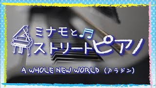 ミナモとストリートピアノvol.2 ～ AWholeNewWorld～