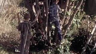 Stephen Malkmus - Church On White