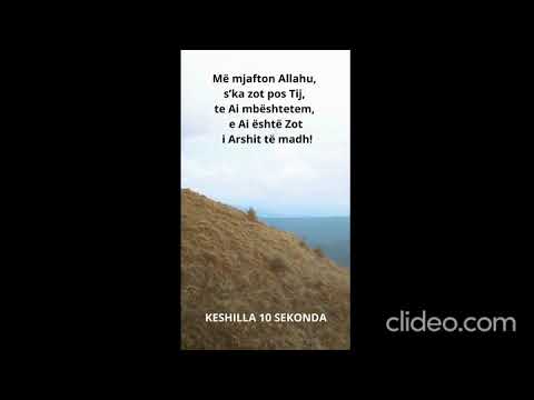 Lutje te ndryshme 14