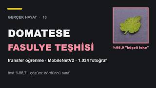 Gerçek Hayat #13 - Domatese Fasulye Teşhisi: Bin Fotoğrafla Transfer Öğrenme | M