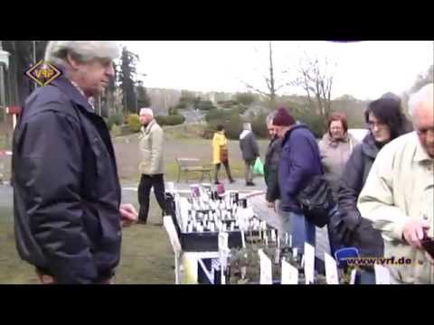 15/15 krähende Hähne läuten Pflanzenbörse ein