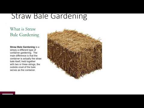 Straw Bale Gardening-How To