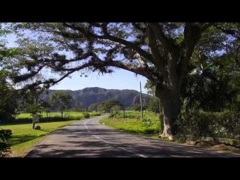 Improve Your Cuban Expedition With This Guide