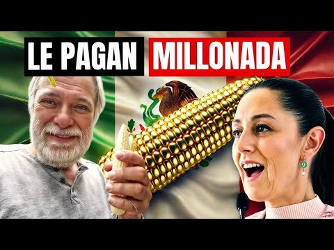 El Agricultor Mexicano, que ROMPIÓ Récord MUNDIAL Produciendo Maíz, Descubre La MAZORCA DORADA