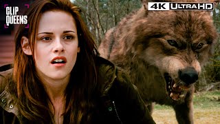 Jacob’s Secret Destroys Bella (Full Scene) | Twilight: New Moon 4K