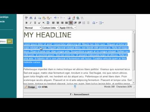 11. Troubleshooting Formatting Issues - DNN Video Tutorial - Embolden