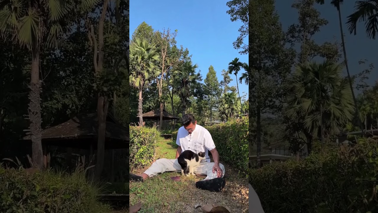 猫は運気の読み手なんです✨#厄除け #木下レオン#黒猫 #幸運の証 #開運 #スピリチュアル #ラッキーサイン