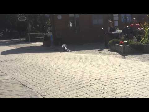 Wenns Loui mal juckt...