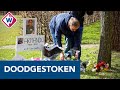 Familie doodgestoken Armando: 'Hoe kan het hem overkomen?' - OMROEP WEST