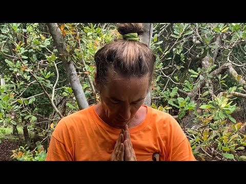 #111 Ogni occasione è buona per piantare un albero