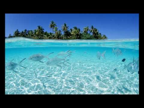 DK Project & Martin Pritchett - Clear Water (Original Mix)