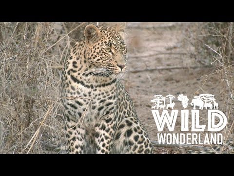 #GlobalBusiness 18GMT  26/07/2019