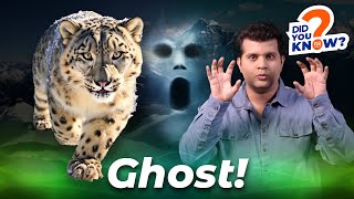 Snow Leopard: The Ghost of Mountains?