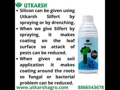 Bio-tech grade liquid utkarsh silfert (enhances silica absor...