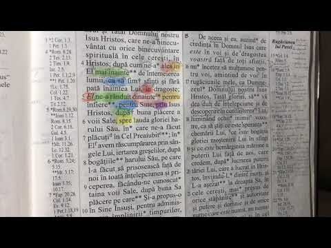 Diversitatea Prepozițiilor | Ochii pe scriptură Ep.9