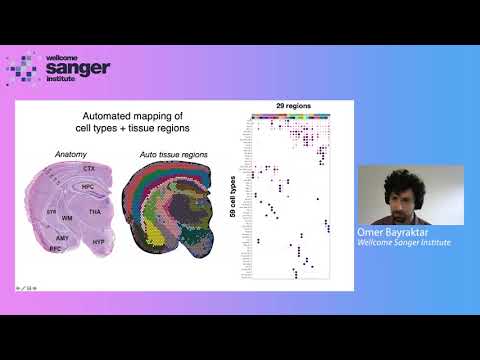 Sanger Institute - High Throughput Spatial Genomics - Dr Omer Bayraktar
