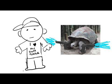 the same blastoise (mbmbam animatic)